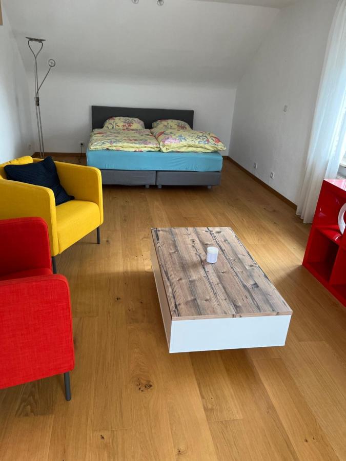 Schoene Wohnung In دايدسهايم المظهر الخارجي الصورة